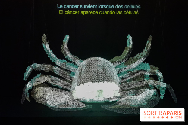 Cancers cité des sciences et de l'industrie