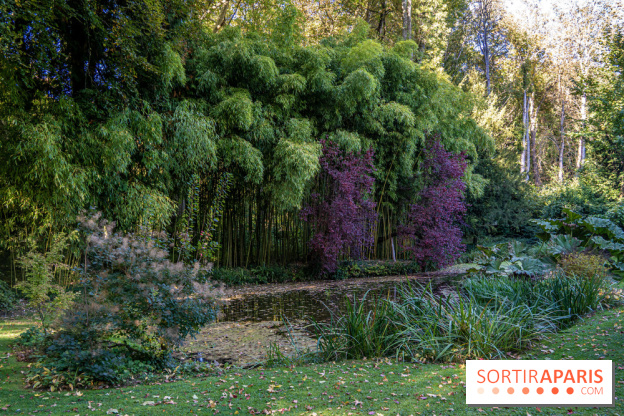 Le Jardin japonais du Château de Courances