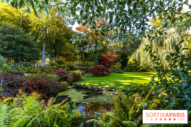 Le Jardin japonais du Château de Courances