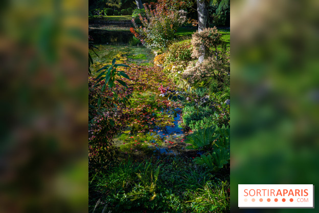 Le Jardin japonais du Château de Courances