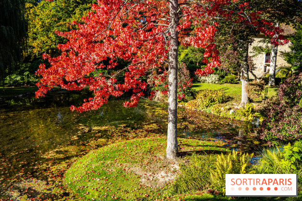 Parc et Domaine du Château de Courances