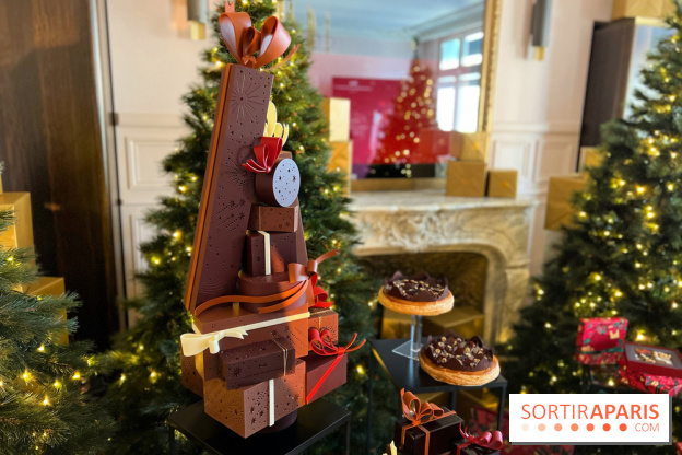 Bûches de Noël 2022 Maison du Chocolat