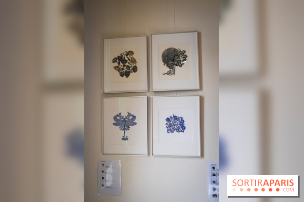 Demoiselle Nature, l'exposition de Michael Cailloux au Cercle Suédois