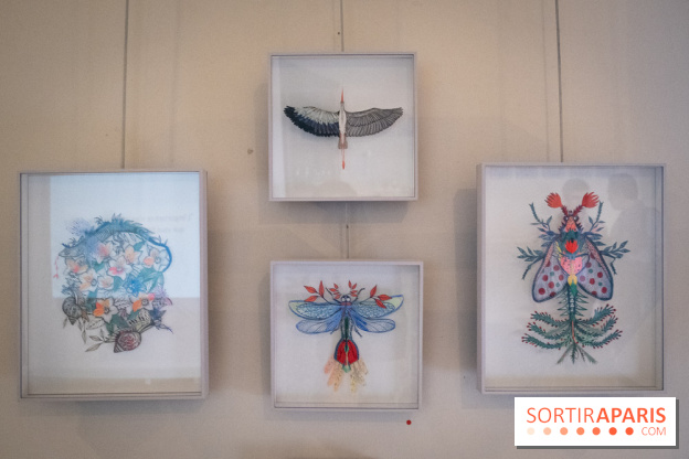 Demoiselle Nature, l'exposition de Michael Cailloux au Cercle Suédois