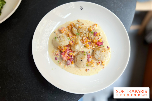 Restaurant Ardent - Saint-Jacques