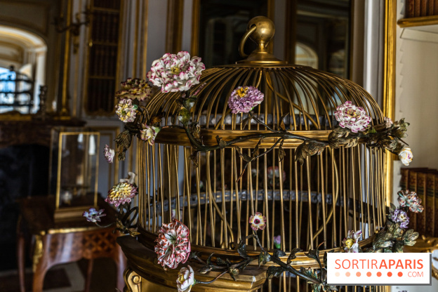 Les appartements de Madame Du Barry restaurés au Château de Versailles - bibliothèque