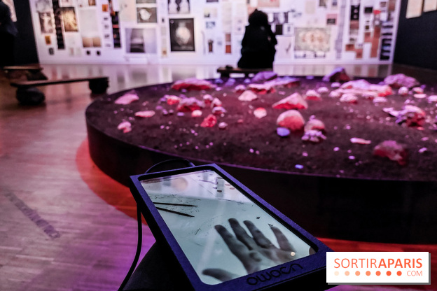 Patti Smith & Soundwalk Collective au Centre Pompidou, nos photos