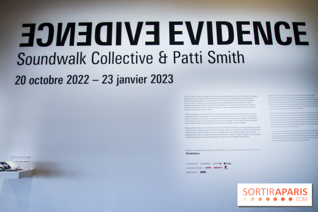 Patti Smith & Soundwalk Collective au Centre Pompidou, nos photos