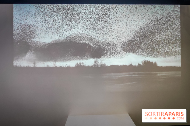 Foules, l'exposition interactive de la Cité des Sciences et de l'Industrie - nos photos