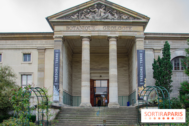 Mini-monstres, nos photos de l'exposition à la galerie de Géologie du Muséum d'Histoire naturelle