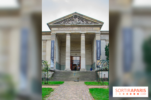 Mini-monstres, nos photos de l'exposition à la galerie de Géologie du Muséum d'Histoire naturelle