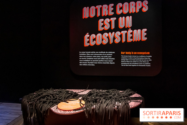 Mini-monstres, nos photos de l'exposition à la galerie de Géologie du Muséum d'Histoire naturelle