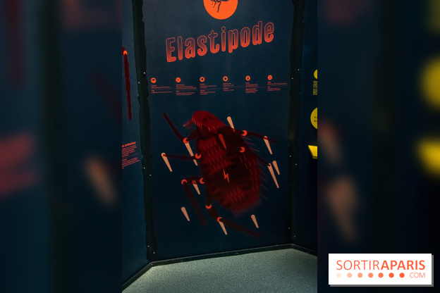 Mini-monstres, nos photos de l'exposition à la galerie de Géologie du Muséum d'Histoire naturelle