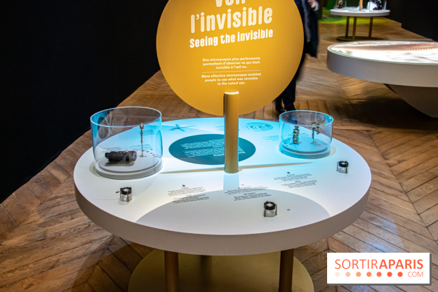 Mini-monstres, nos photos de l'exposition à la galerie de Géologie du Muséum d'Histoire naturelle