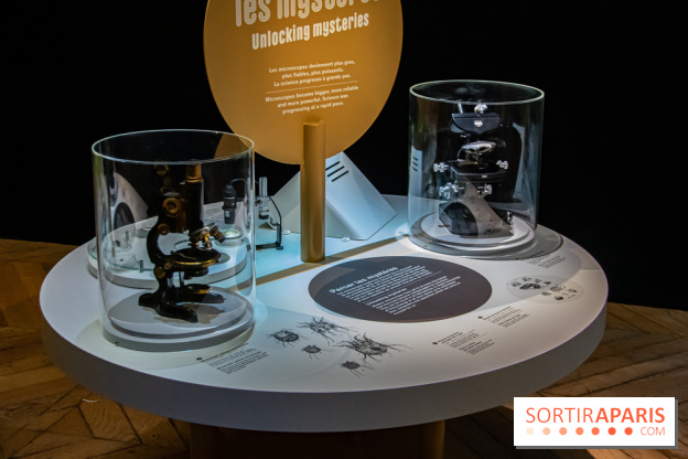 Mini-monstres, nos photos de l'exposition à la galerie de Géologie du Muséum d'Histoire naturelle