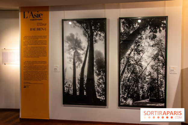 L'Asie Maintenant 2022, l'exposition en partenariat avec Asia Now au Musée Guimet