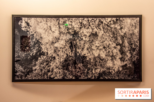 L'Asie Maintenant 2022, l'exposition en partenariat avec Asia Now au Musée Guimet