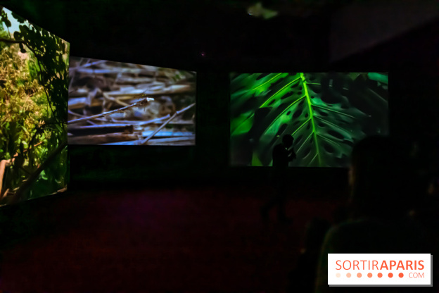 Exposition au Palais de Tokyo : Shéhérazade, la nuit - nos photos