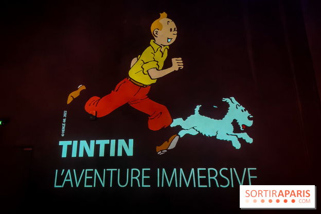 Tintin, l'aventure immersive à l'Atelier des Lumières : l'exposition insolite à vivre - nos photos