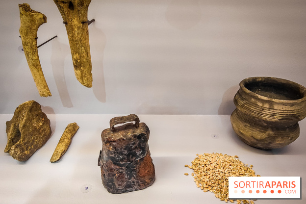 Le monde de Clovis, l'exposition dont vous êtes le héros au musée d'Archéologie nationale - photos