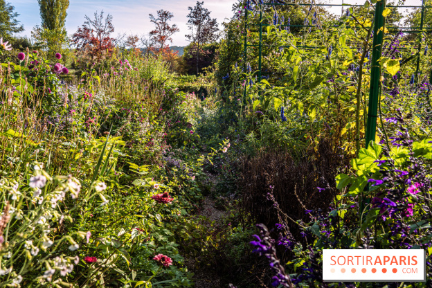 Les Jardins de la Maison Claude Monet à l'automne
