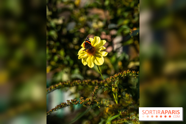 Les Jardins de la Maison Claude Monet à l'automne