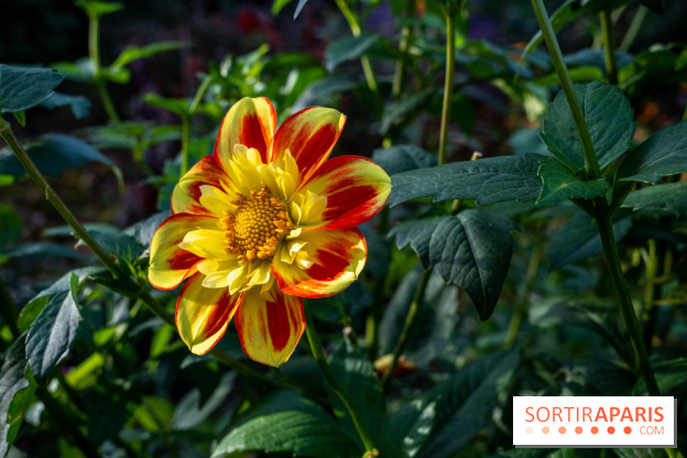 Les Jardins de la Maison Claude Monet à l'automne