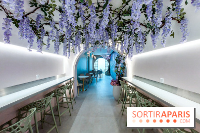 Hanami Tea Time, nos photos