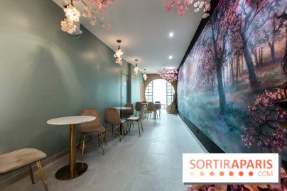 Hanami Tea Time, nos photos