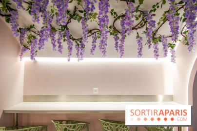 Hanami Tea Time, nos photos