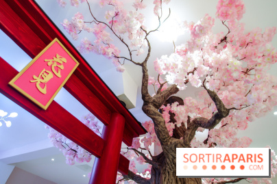 Hanami Tea Time, nos photos