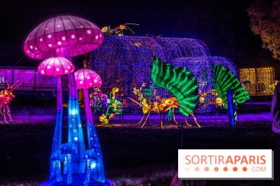 Thoiry Lumières Sauvages 2022 - 2023