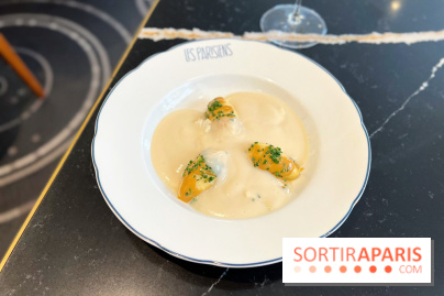 Restaurant Les Parisiens - Quenelles