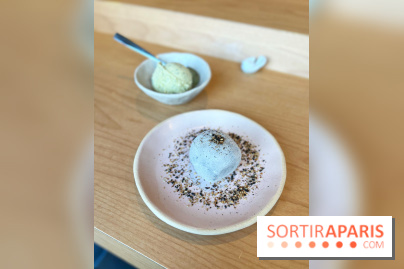 Restaurant japonais Hando Parisian Handroll