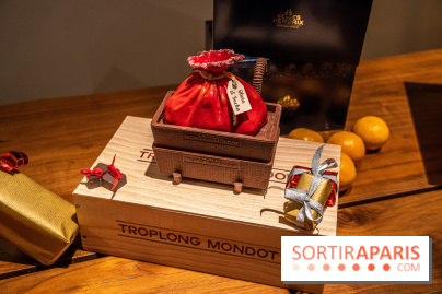 La Bûche de Noël d'Adrien Salavert aux Belles Perdrix de Troplong Mondot 2022 - hotte de vendanges du Père Noël