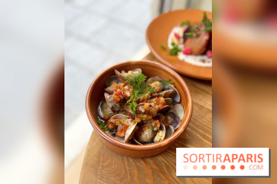 Restaurant méditerranéen Dune - Vongole