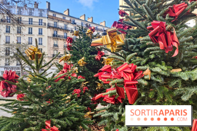 Noël Paris visuels - cadeau - sapin - Marché de Noël - cadeau de Noël - décoration - Mairie 11e