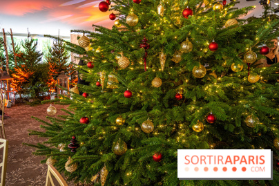 Visuels Noël - sapin