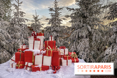 Visuels Noël - cadeau noël