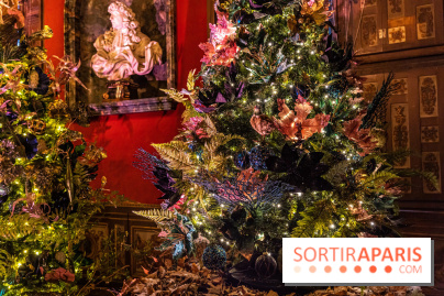 Noël Paris visuels - sapin de noël