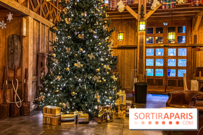 Noël Paris visuels - sapin de noël