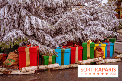 Noël Paris visuels - cadeau Noël