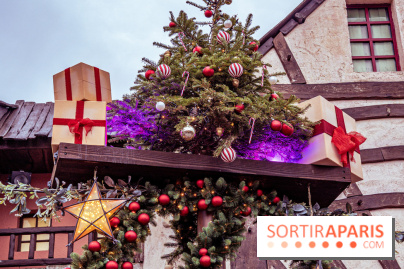 Noël Paris visuels - cadeau noël - sapin