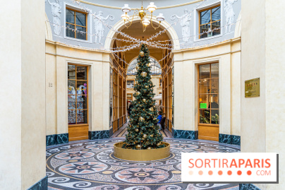 Noël Paris visuels - cadeau - sapin - Marché de Noël - cadeau de Noël - décoration -  A7C9121