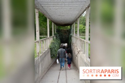 Le Jardin Alpin caché du Jardin des Plantes