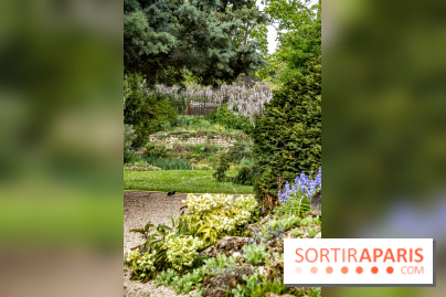 Le Jardin Alpin caché du Jardin des Plantes