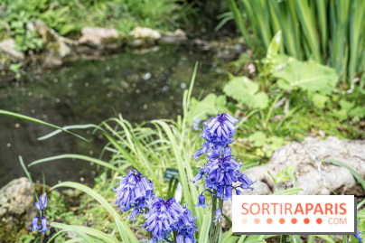 Le Jardin Alpin caché du Jardin des Plantes