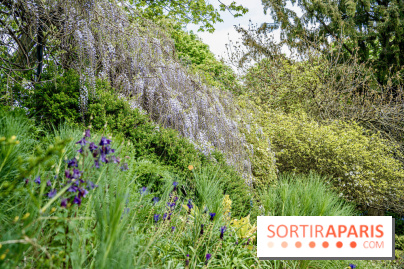 Le Jardin Alpin caché du Jardin des Plantes