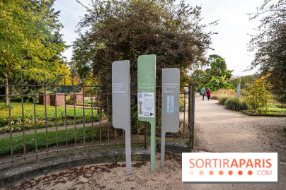 Le Jardin Alpin caché du Jardin des Plantes