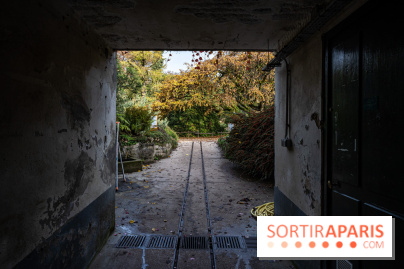 Le Jardin Alpin caché du Jardin des Plantes